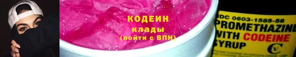 хмурый Абаза