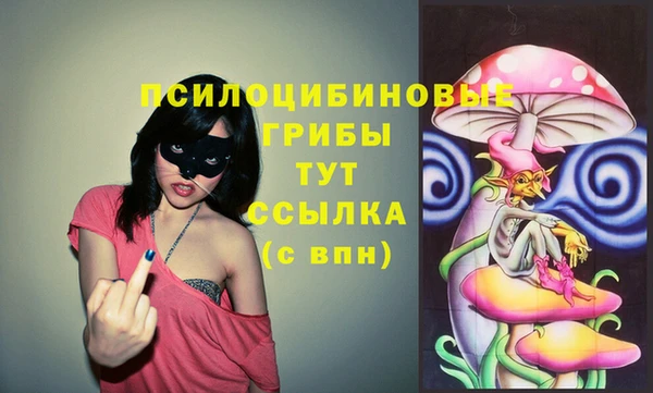 хмурый Абаза